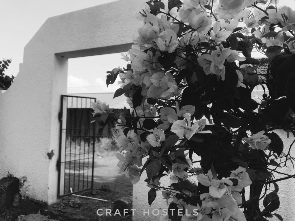 Craft Hostels アンジュナ エクステリア 写真
